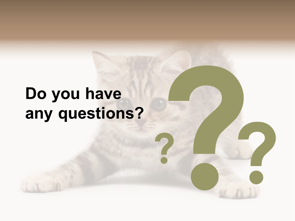 Purr Pedigreed Sit PowerPoint Template