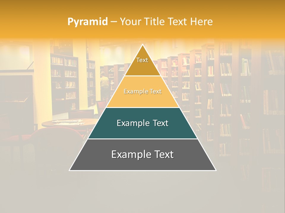 Modern Shelf Study PowerPoint Template