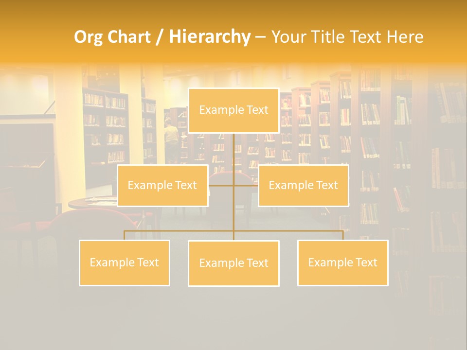 Modern Shelf Study PowerPoint Template