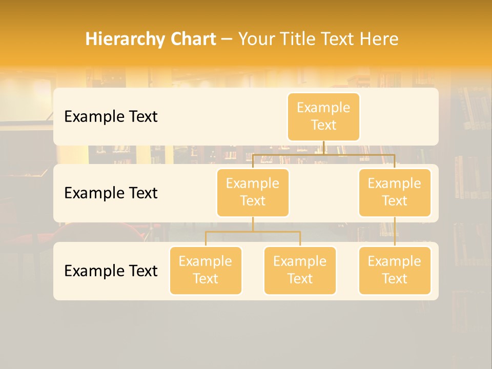 Modern Shelf Study PowerPoint Template