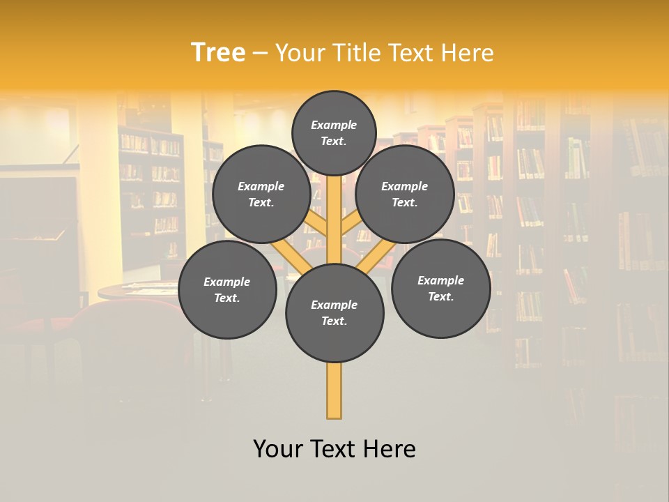 Modern Shelf Study PowerPoint Template