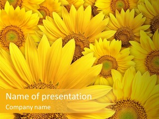 Plants Flora Petals PowerPoint Template