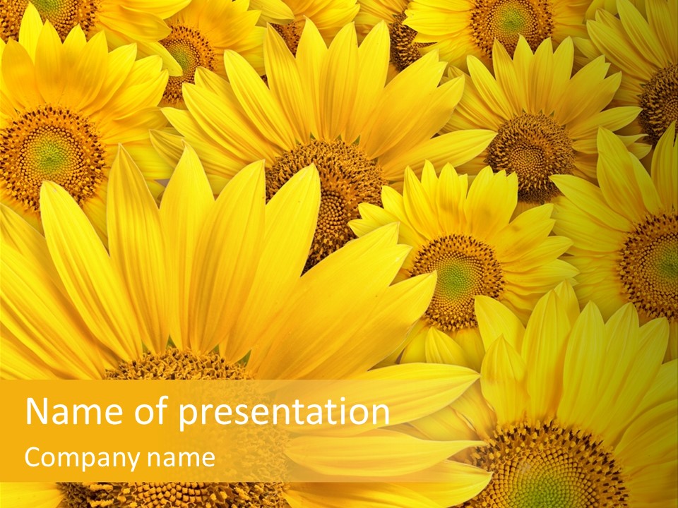 Plants Flora Petals PowerPoint Template