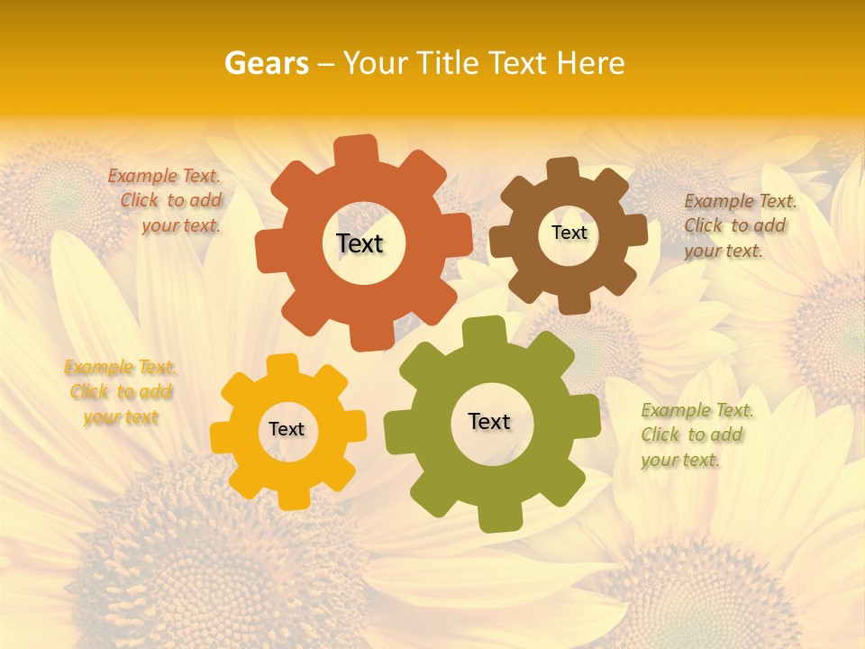 Plants Flora Petals PowerPoint Template