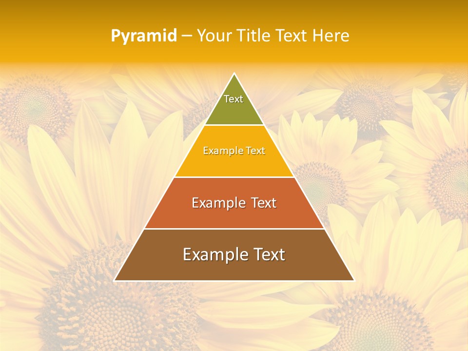 Plants Flora Petals PowerPoint Template