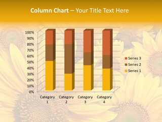 Plants Flora Petals PowerPoint Template