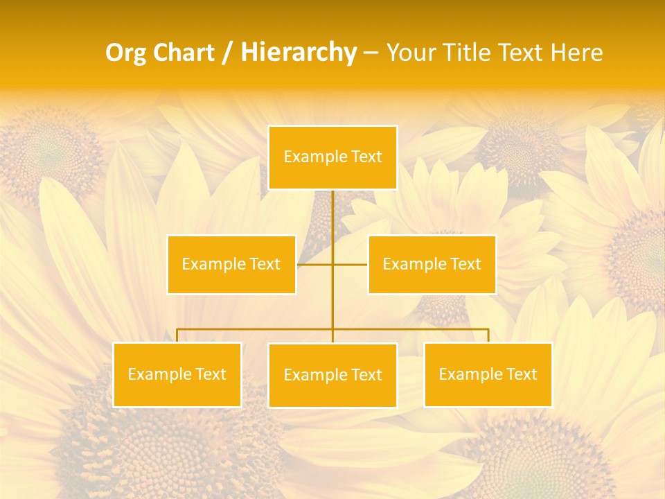 Plants Flora Petals PowerPoint Template
