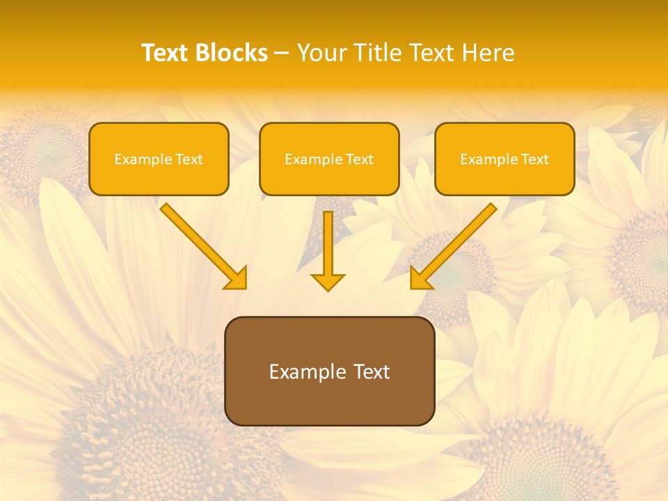 Plants Flora Petals PowerPoint Template