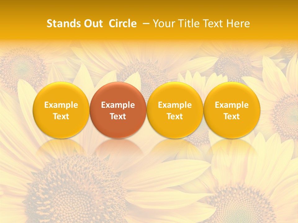 Plants Flora Petals PowerPoint Template