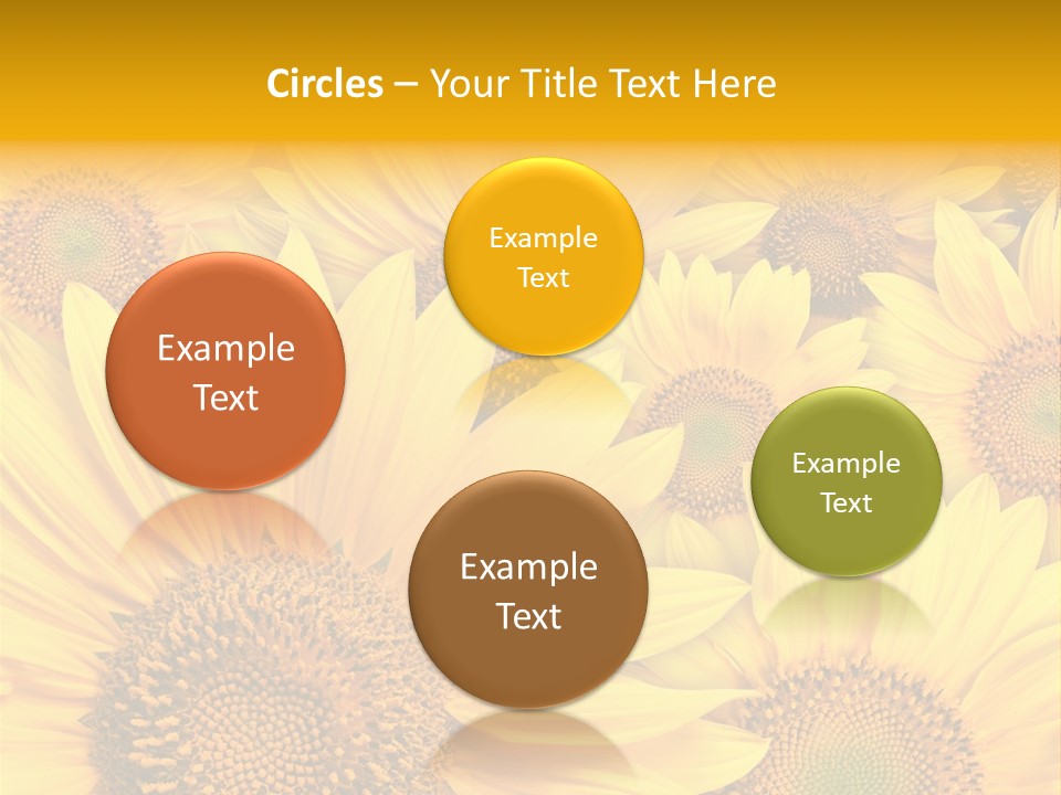 Plants Flora Petals PowerPoint Template