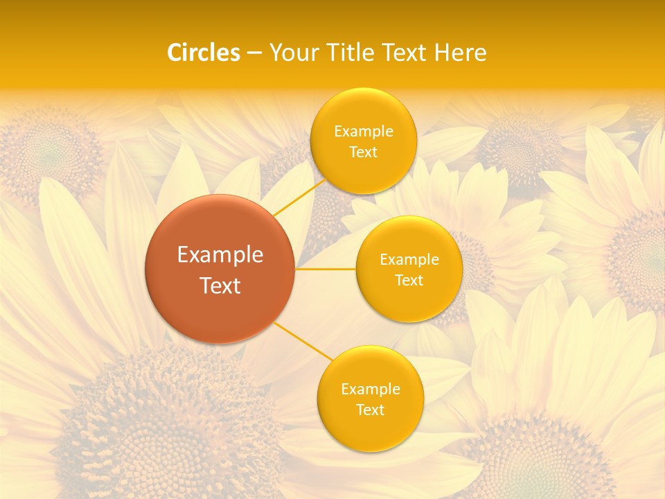 Plants Flora Petals PowerPoint Template