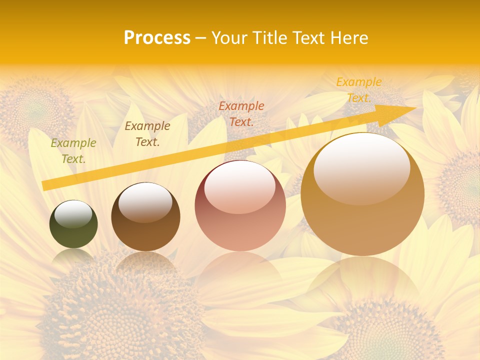 Plants Flora Petals PowerPoint Template