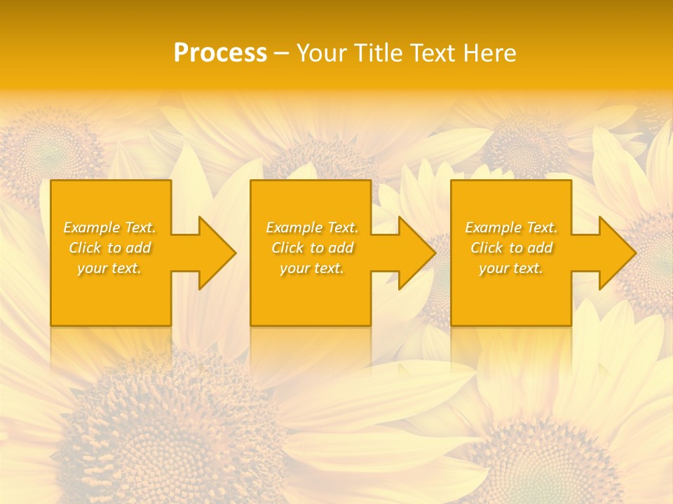 Plants Flora Petals PowerPoint Template