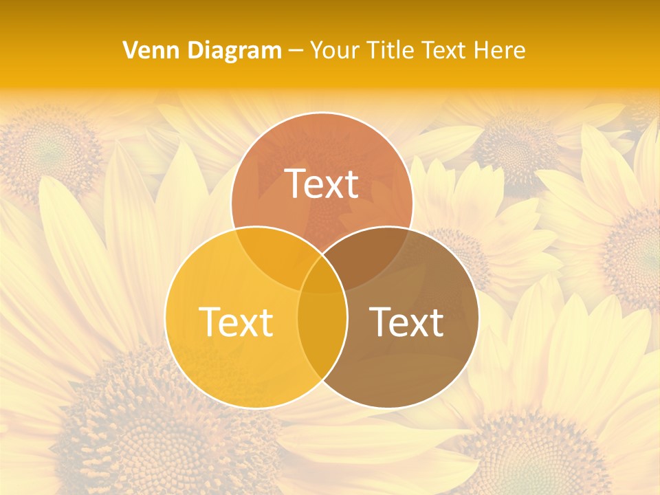 Plants Flora Petals PowerPoint Template