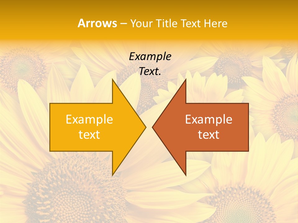 Plants Flora Petals PowerPoint Template