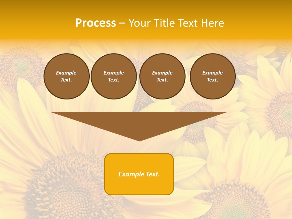 Plants Flora Petals PowerPoint Template