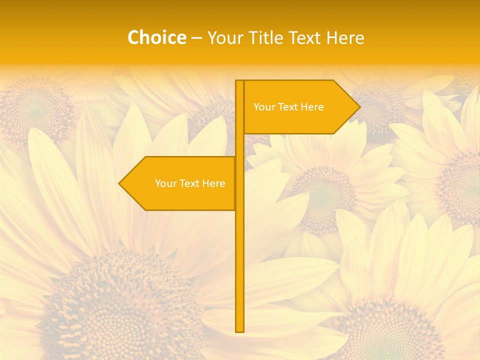 Plants Flora Petals PowerPoint Template