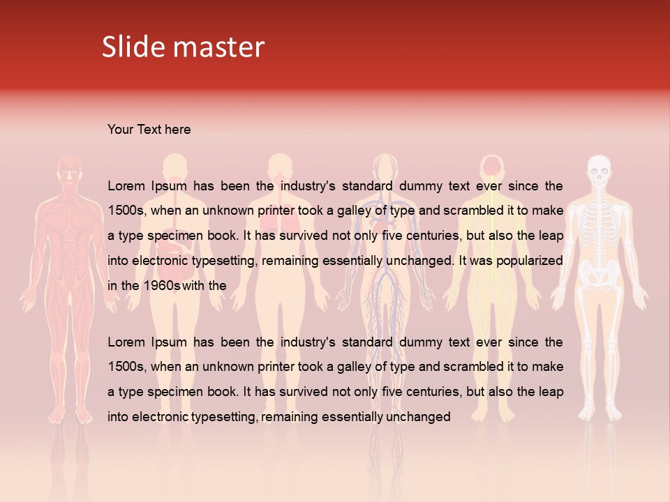 Respiratory Circulatory Skeletal PowerPoint Template