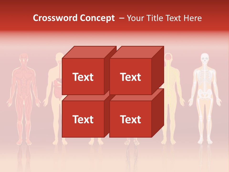 Respiratory Circulatory Skeletal PowerPoint Template