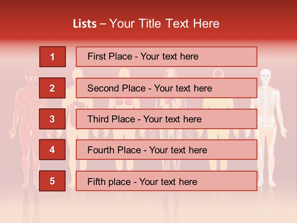 Respiratory Circulatory Skeletal PowerPoint Template