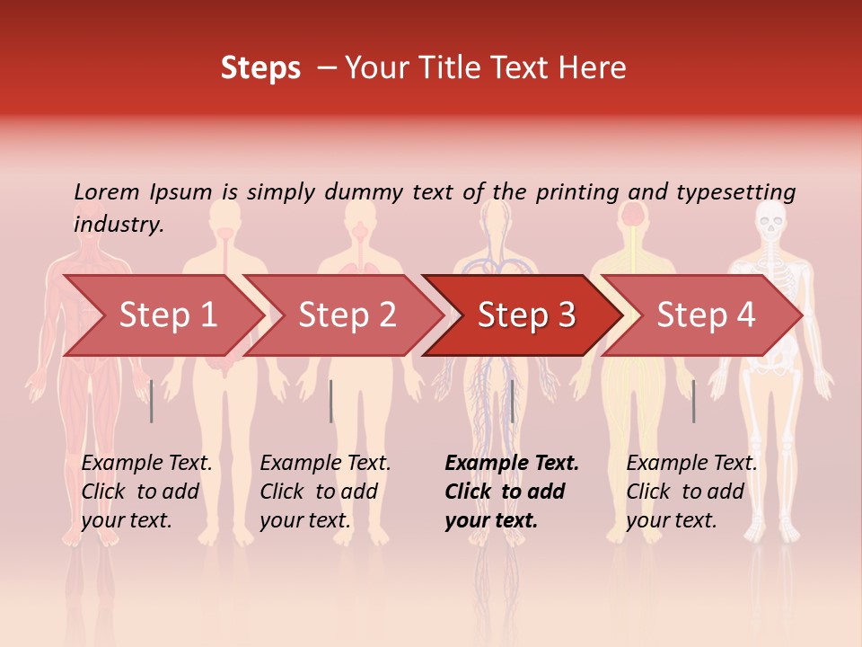 Respiratory Circulatory Skeletal PowerPoint Template