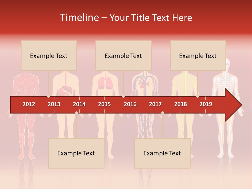 Respiratory Circulatory Skeletal PowerPoint Template