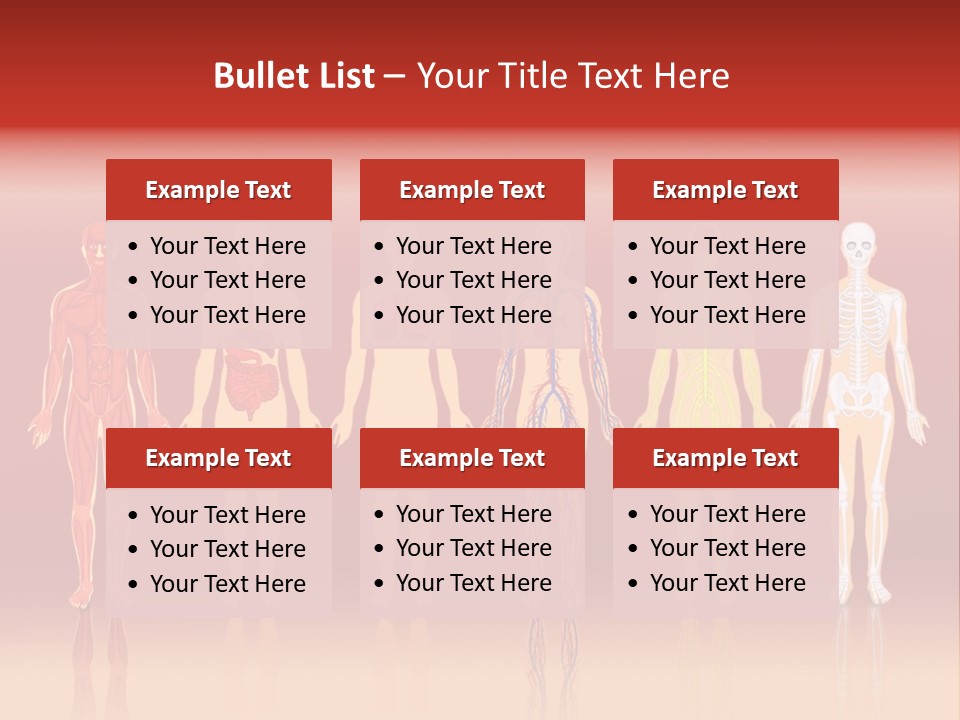 Respiratory Circulatory Skeletal PowerPoint Template