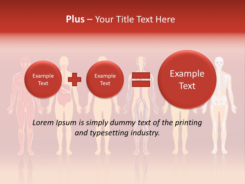 Respiratory Circulatory Skeletal PowerPoint Template