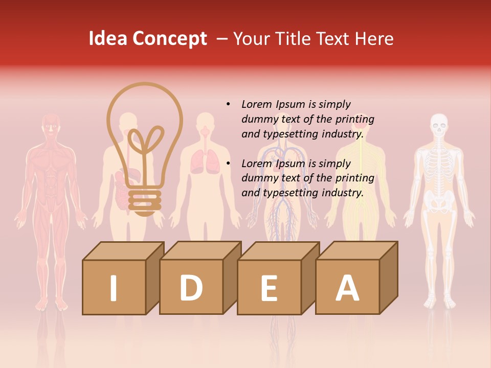 Respiratory Circulatory Skeletal PowerPoint Template