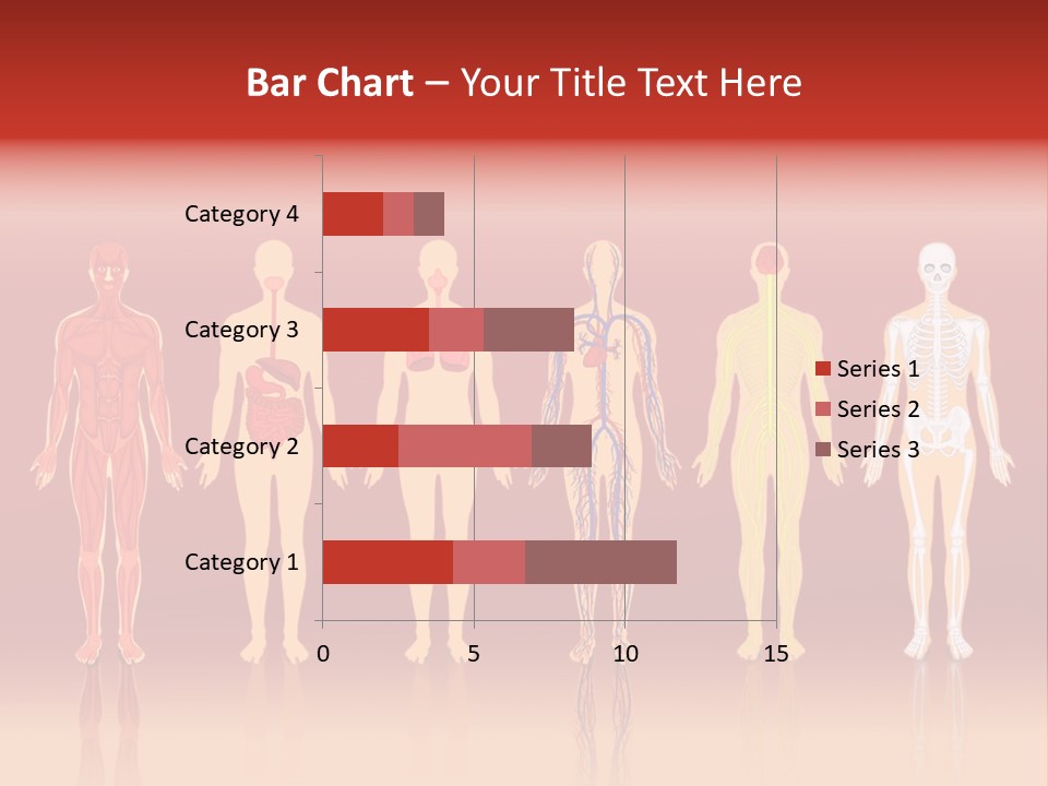 Respiratory Circulatory Skeletal PowerPoint Template