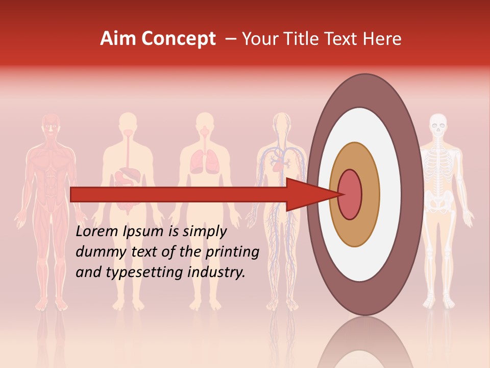 Respiratory Circulatory Skeletal PowerPoint Template