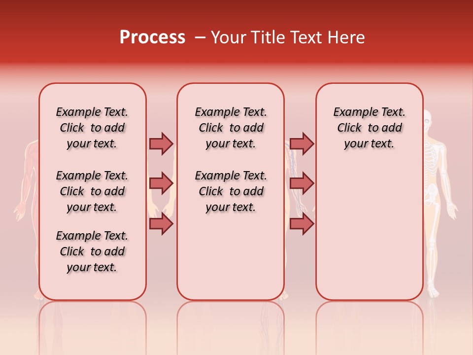 Respiratory Circulatory Skeletal PowerPoint Template