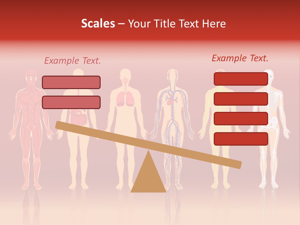Respiratory Circulatory Skeletal PowerPoint Template