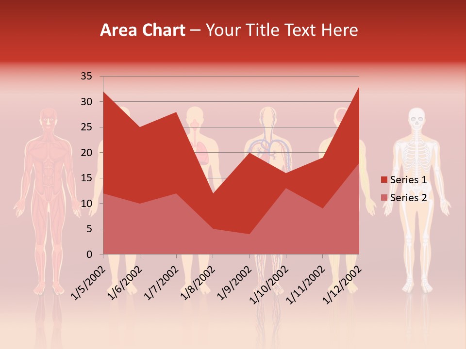 Respiratory Circulatory Skeletal PowerPoint Template
