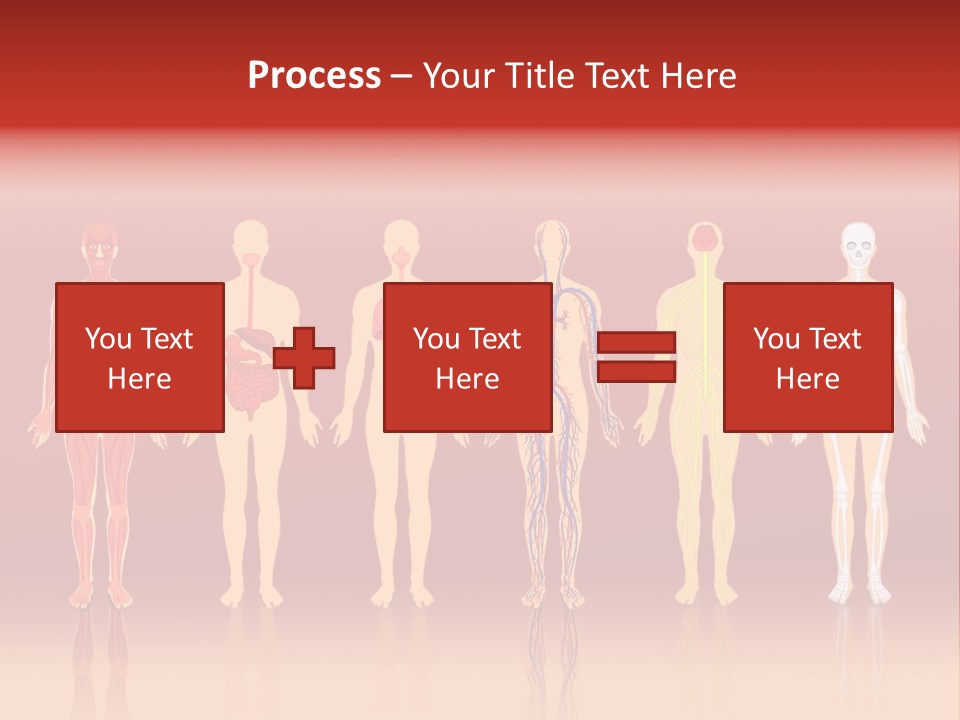 Respiratory Circulatory Skeletal PowerPoint Template