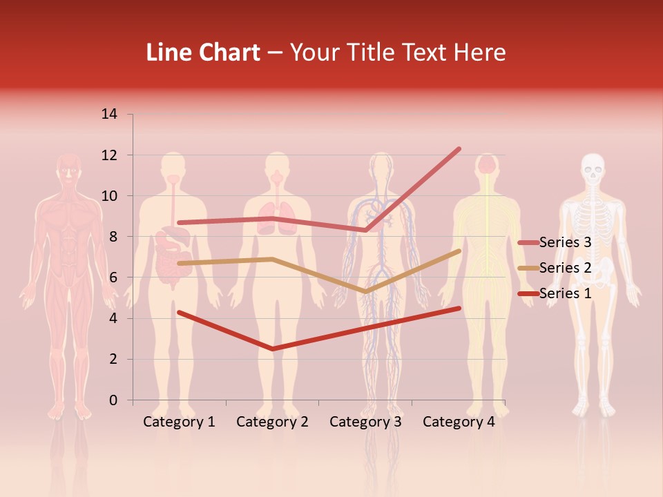 Respiratory Circulatory Skeletal PowerPoint Template
