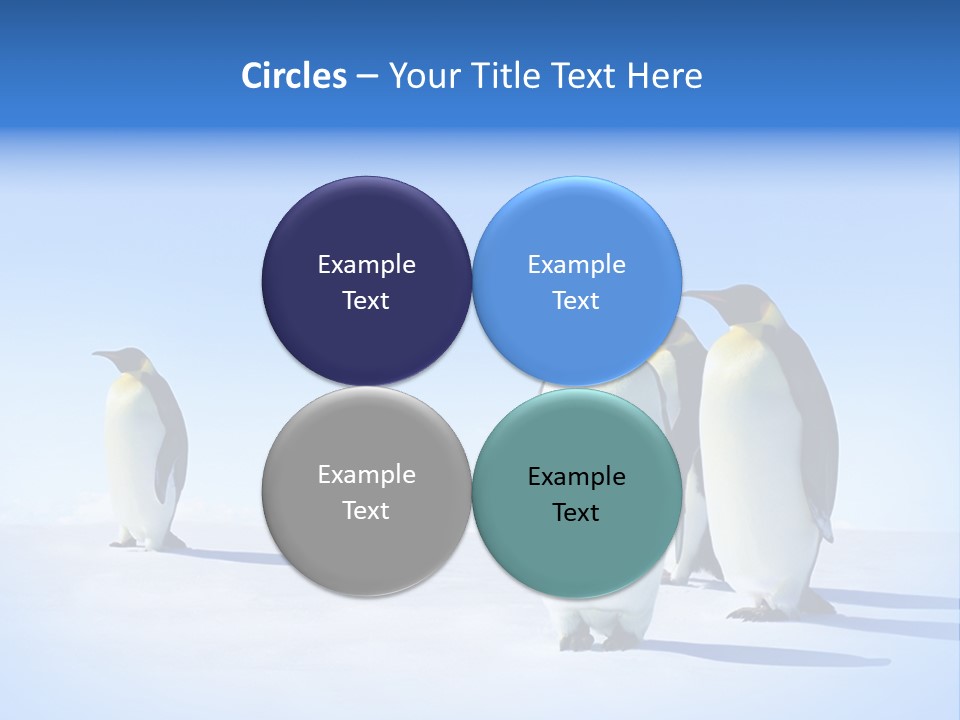 Snow Blue Watch PowerPoint Template