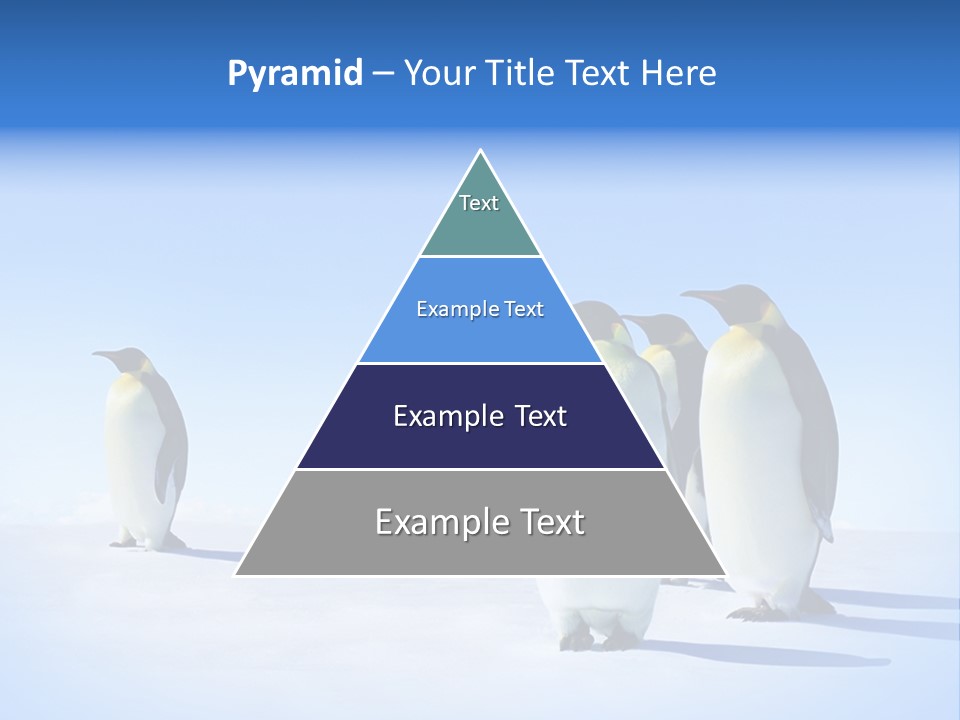 Snow Blue Watch PowerPoint Template