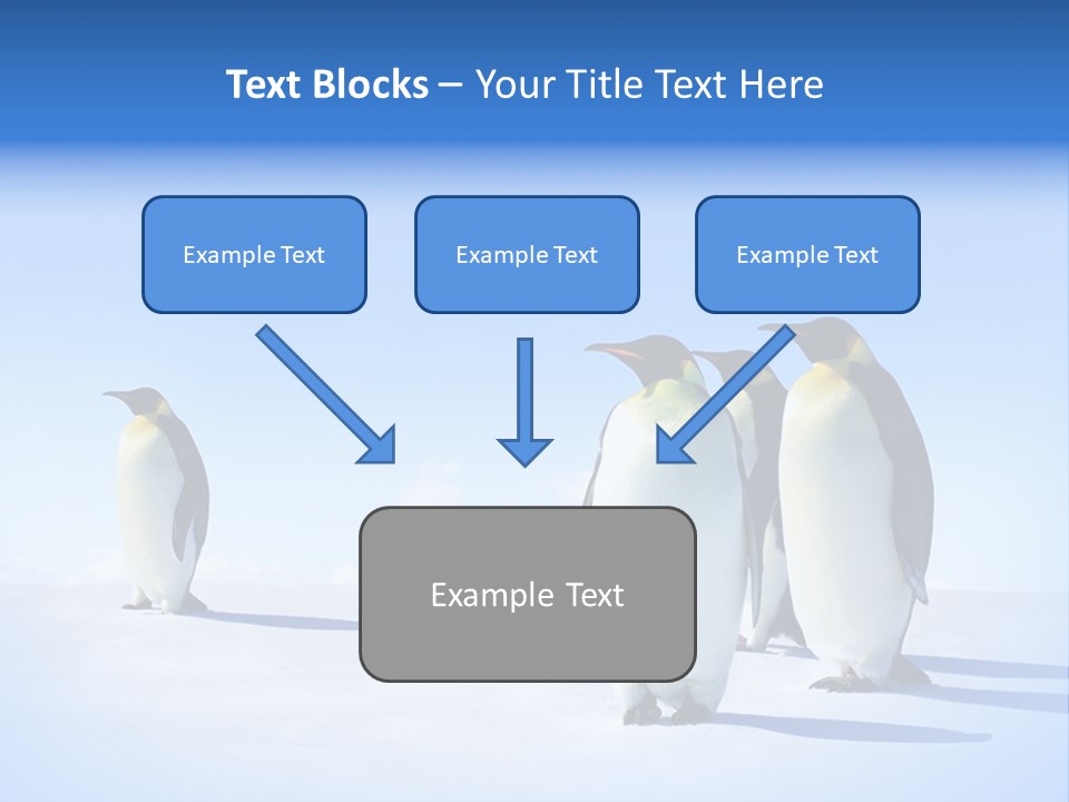Snow Blue Watch PowerPoint Template