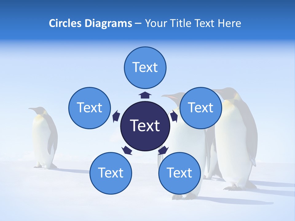 Snow Blue Watch PowerPoint Template