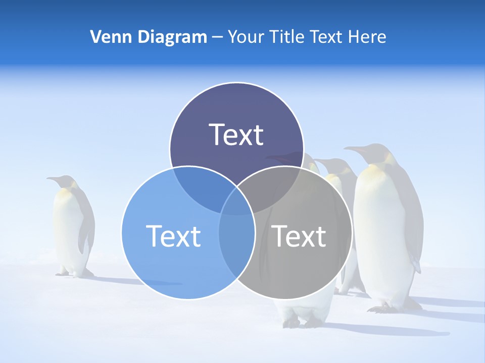 Snow Blue Watch PowerPoint Template