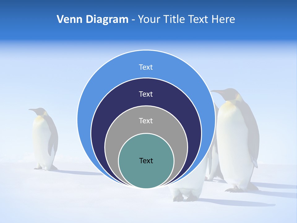 Snow Blue Watch PowerPoint Template