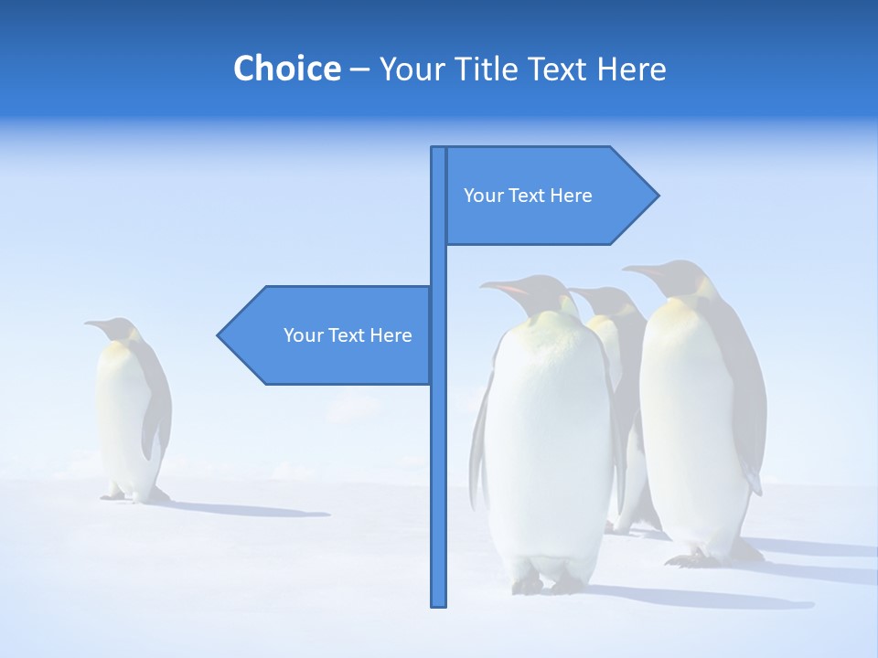 Snow Blue Watch PowerPoint Template