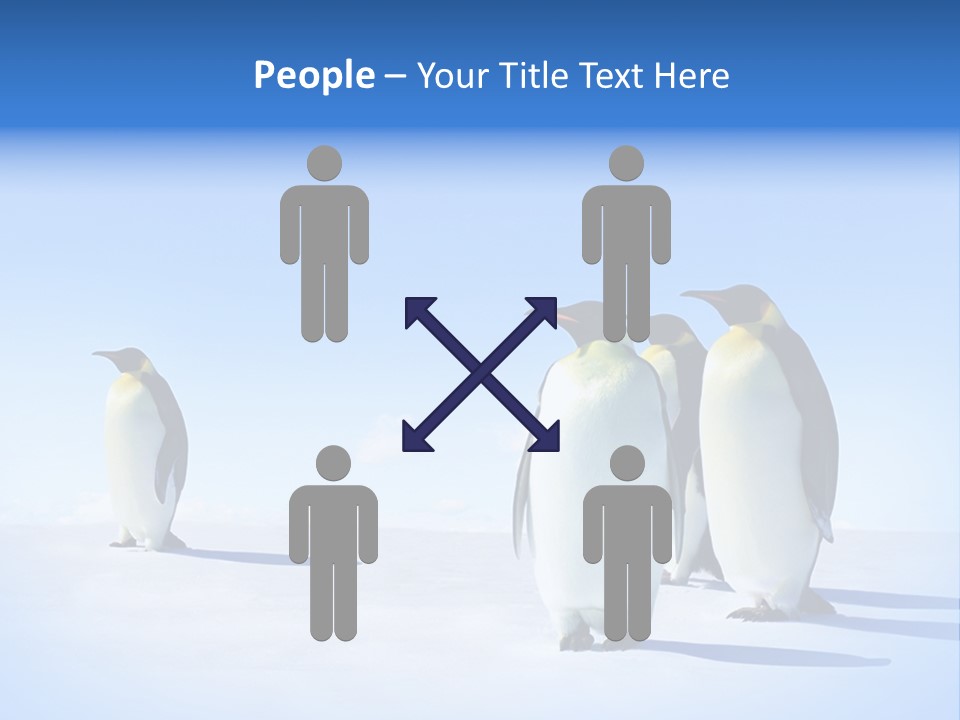 Snow Blue Watch PowerPoint Template