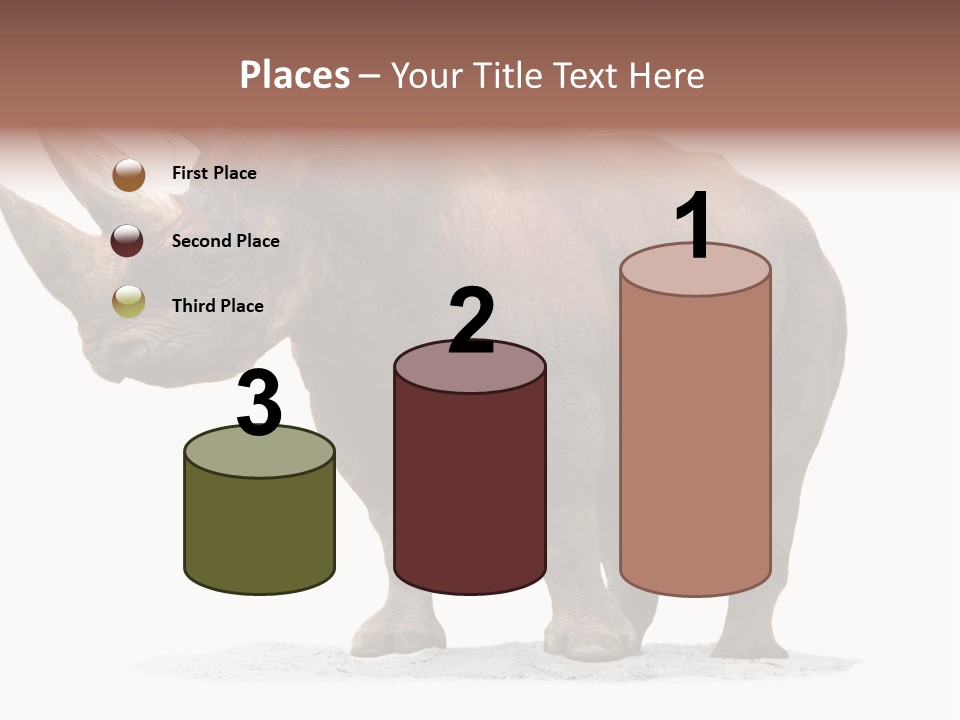 Wild Black Diceros PowerPoint Template