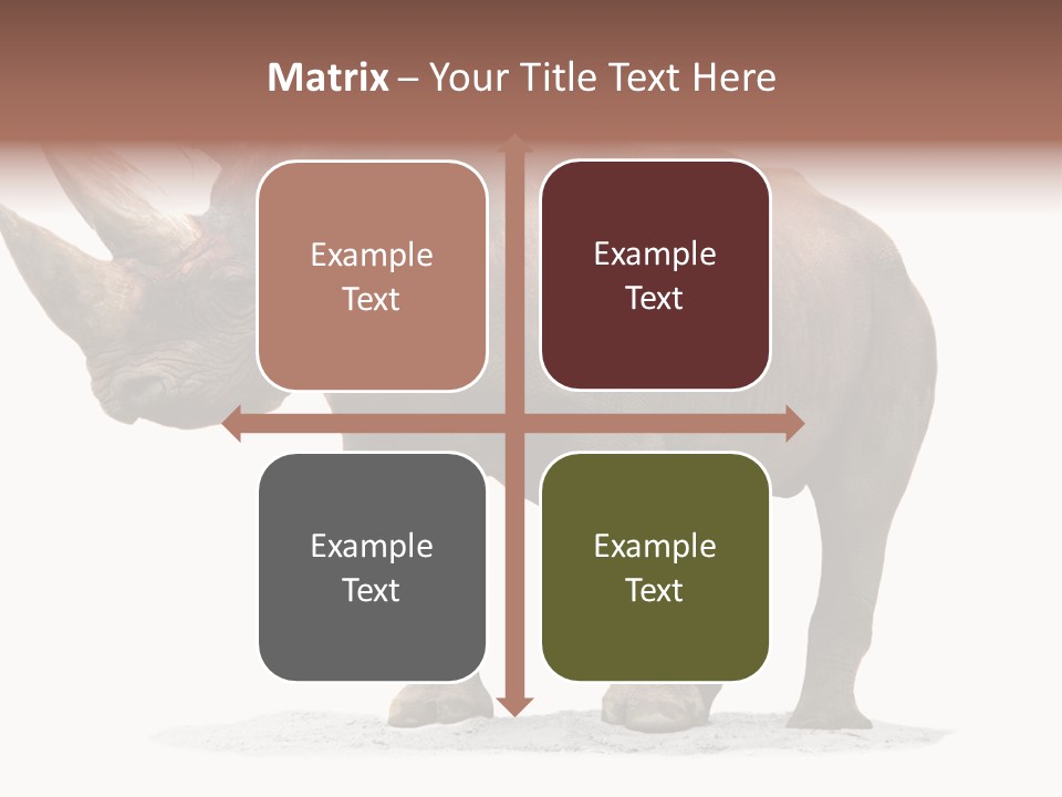 Wild Black Diceros PowerPoint Template