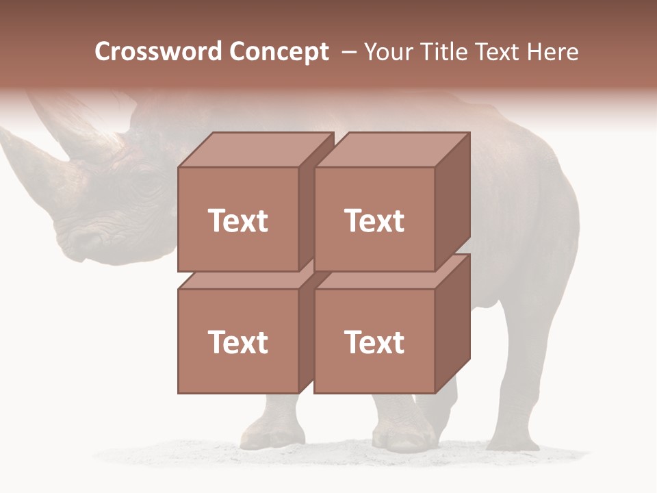 Wild Black Diceros PowerPoint Template