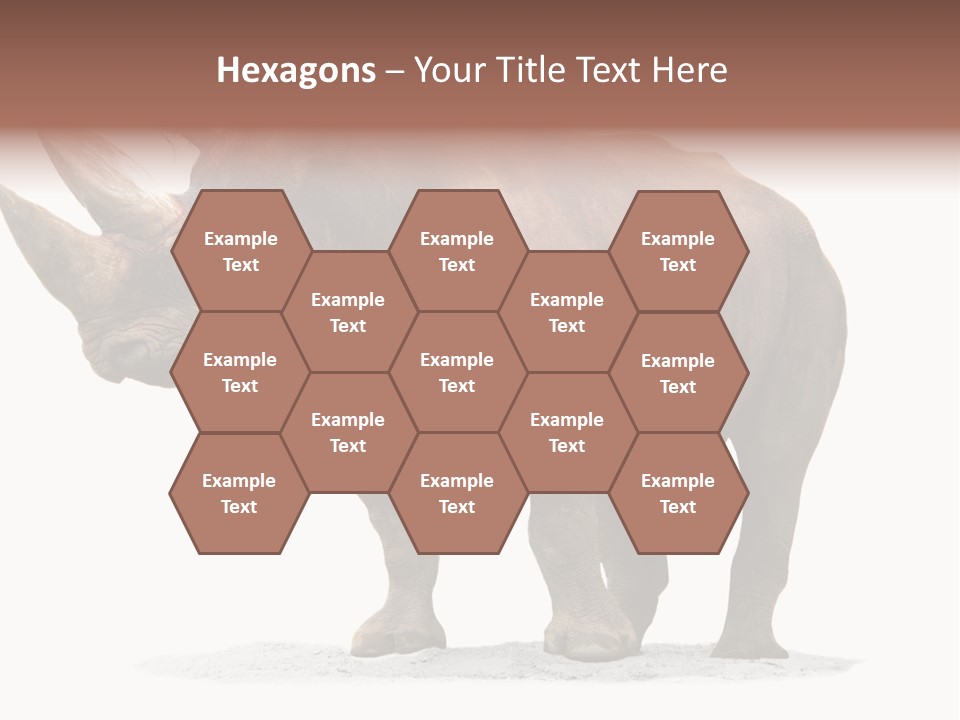 Wild Black Diceros PowerPoint Template