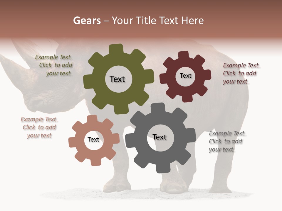 Wild Black Diceros PowerPoint Template