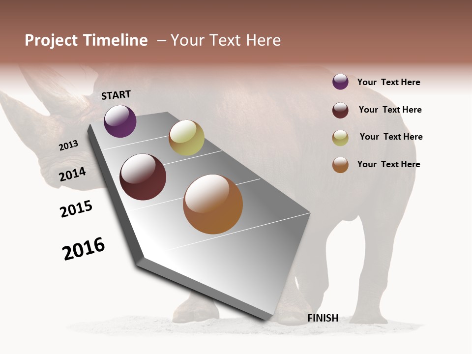 Wild Black Diceros PowerPoint Template